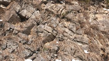 동해시 신흥동의 선캄브리아기 태백산편마암복합체(태백산층군)