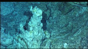 잃어버린 도시 열수 분출지대(Lost City Hydrothermal Field)의 흰색 탄산염 첨탑