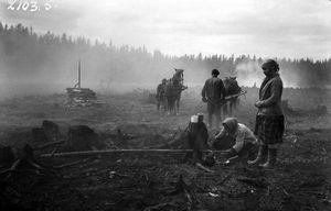 1920년대 핀란드 마안인카의 화전 농업