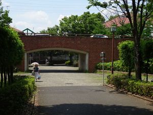 보행자와 자동차 교통을 입체 분리한 "보차 분리"