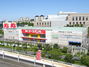 케이스덴키 다마뉴타운점