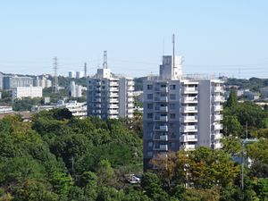 다마 뉴타운 개발 초기 모습(도쿄도 다마시 토요가오카)