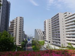 다마사카이역 주변의 대형 맨션 군