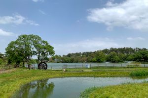 弁天潟風致公園