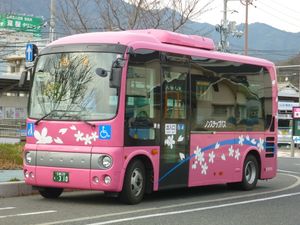 하쓰카이치 사쿠라 버스