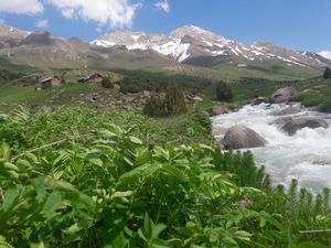 샤흐리사브즈 구역, 카슈카다리야 지역