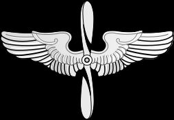 미국 공군사관학교의 전통 휘장