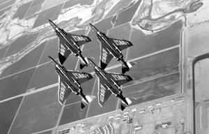 블루엔젤스(Blue Angels)는 1969년부터 1974년까지 F-4J를 운용했다.