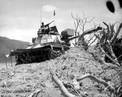 베트남 전쟁 당시 M48A3M2 중기관총이 외장식으로 개조되었다.