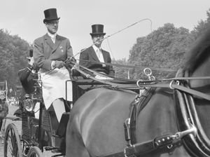 1982년 세계 마차 경주 선수권 대회에서