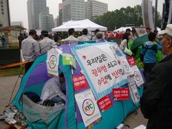 시청 앞에 설치된 텐트