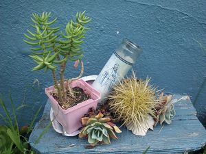 캘리포니아주 리치먼드(Richmond)에 있는 산타 무에르테 정원 제단