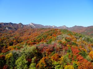 형제봉, 보현봉, 칼바위 등이 보이는 남쪽 북한산 자락의 가을 풍경