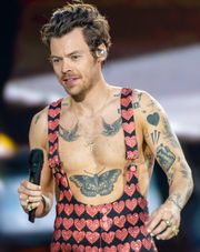 해리 스타일스(Harry Styles)