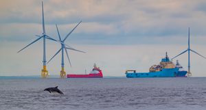 북해 연안의 애버딘 항구. 북해 석유 및 가스 생산을 지원하는 선박들