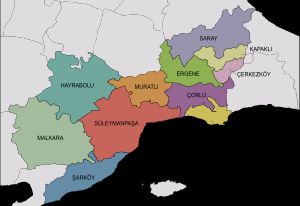 테키르다으 주의 군