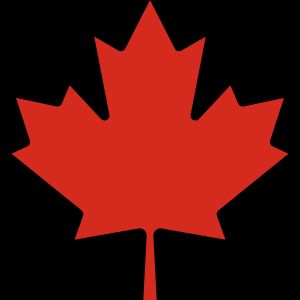 캐나다의 상징이기도 한 단풍잎은 캐나다 아이스하키 대표팀 상징으로 주요 사용되는 문양이다.