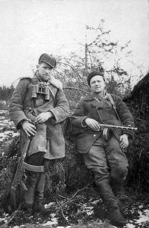 소련 반대 리투아니아 저항군