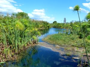 키아네 강 전경