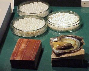 미키모토 진주섬, 도바시, 일본