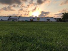 바셀 알 아사드 경기장