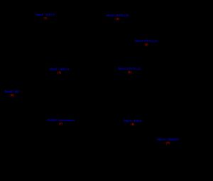 코리즈메이트의 변환을 통한 비타민 K1의 생합성은 9단계로 이루어진다.