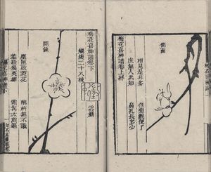 송나라 화가 송보인(宋伯仁)의 매화 그림 교본