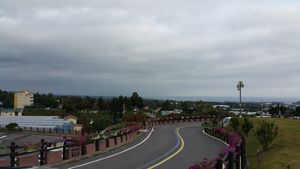 바다를 향한 전망