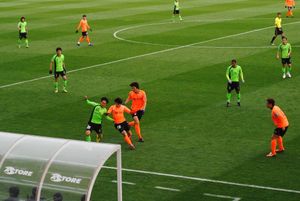 2010년 11월 28일 전북 현대 모터스와의 경기 장면