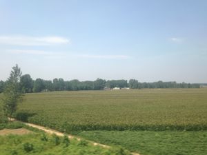 주마전시 주마전 현의 농경지