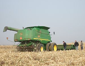 프리모르스키 지방의 농업