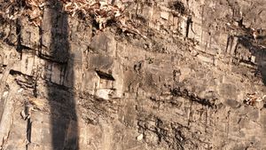 북구 태전동 산 3-1보건대 대구아트센터 앞 태전로 도로변에 드러난 칠곡층 노두이다.