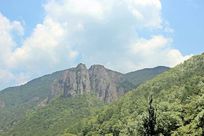 주왕산에 발달한 유천층군 안산암류로 구성된 기암괴석의 모습