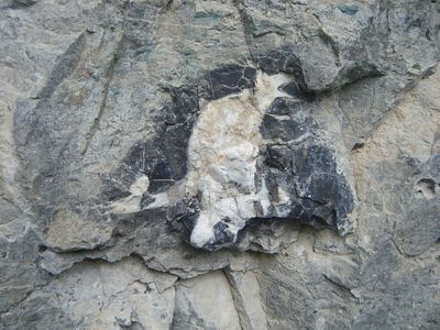 주왕산의 유천층군 안산암류 내에 발달한 구조