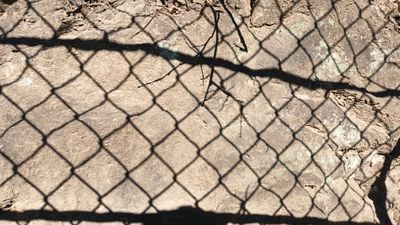 연죽산(292.6 m) 남쪽 남천로 도로변에 드러난 주산안산암질암류 치밀안산암질암의 노두이다.