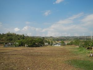 필리야의 농경지