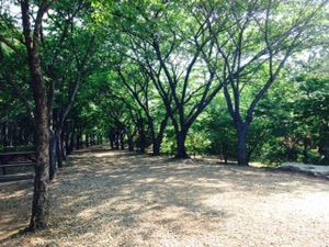 원광대학교 수목원