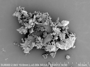 섬유질 먼지 현미경 사진