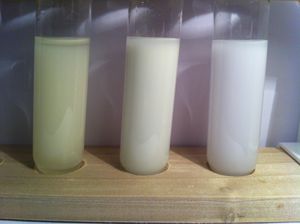 왼쪽부터 아이오딘화 은, 브로민화 은, 염화 은의 세 가지 일반적인 할로겐화은 침전물