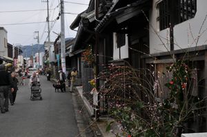 마유다마로 꾸며진 거리