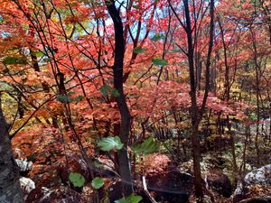 2022년 11월 지리산 풍경