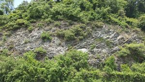 옥천군 동이면의 옥천 누층군 창리층, 구 경부고속도로 도로변