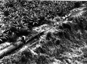 남베트남에서 새로운 철로를 설치하는 수리반.