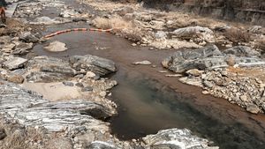 대강면 북상리 북상교(북상1길 3-1 부근) 아래 하천에 드러난 두무골층