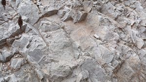 영월군 북면 마차리 지방도 제415호선 도로변의 와곡층 노두