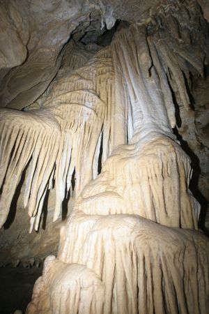 정선 석회암층 중에 발달하는 정선 산호동굴의 모습이다.