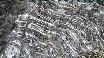 문경시 마성면 모곡리 소야삼거리 도로변에 드러난 문경층군의 노두로 습곡이 발달한다.