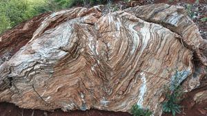 문경 굴봉산 돌리네습지의 조선 누층군에 발달한 습곡 구조