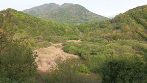 문경 굴봉산 돌리네습지