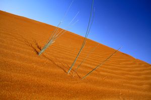 두바이 사막의 모습.